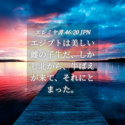 Picture 04 - エレミヤ書 46:20 JPN - エジプトは美しい雌の子牛だ、しか - Bible Verse Picture