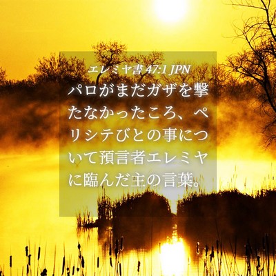 Picture 04 - エレミヤ書 47:1 JPN - パロがまだガザを撃たなかったころ - Bible Verse Picture