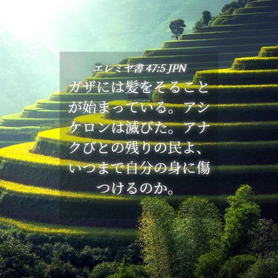 Picture 04 - エレミヤ書 47:5 JPN - ガザには髪をそることが始まってい - Bible Verse Picture
