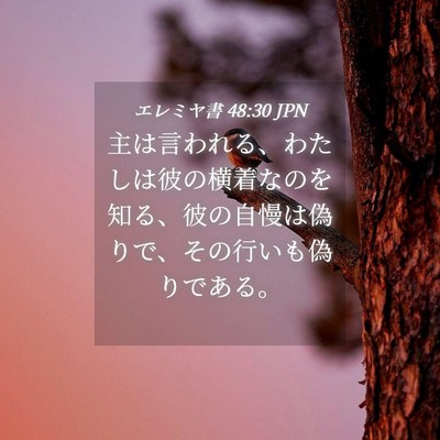Picture 04 - エレミヤ書 48:30 JPN - 主は言われる、わたしは彼の横着な - Bible Verse Picture