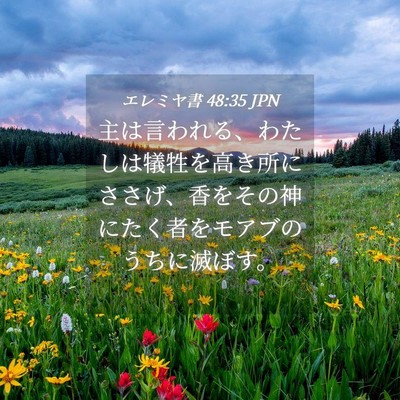 Picture 04 - エレミヤ書 48:35 JPN - 主は言われる、わたしは犠牲を高き - Bible Verse Picture