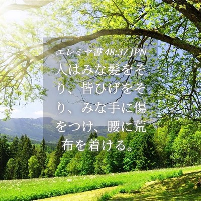 Picture 04 - エレミヤ書 48:37 JPN - 人はみな髪をそり、皆ひげをそり、 - Bible Verse Picture