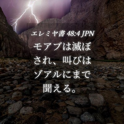 Picture 04 - エレミヤ書 48:4 JPN - モアブは滅ぼされ、叫びはゾアルに - Bible Verse Picture