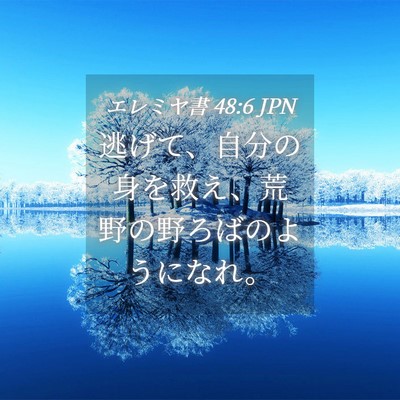 Picture 04 - エレミヤ書 48:6 JPN - 逃げて、自分の身を救え、荒野の野 - Bible Verse Picture