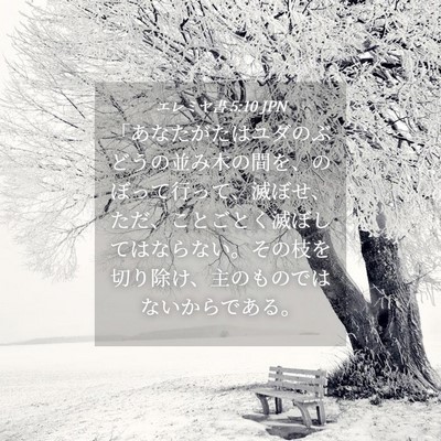 Picture 04 - エレミヤ書 5:10 JPN - 「あなたがたはユダのぶどうの並み - Bible Verse Picture