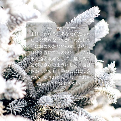 Picture 04 - エレミヤ書 5:22 JPN - 主は言われる、あなたがたはわたし - Bible Verse Picture