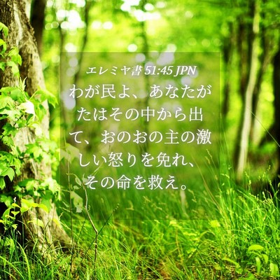 Picture 04 - エレミヤ書 51:45 JPN - わが民よ、あなたがたはその中から - Bible Verse Picture