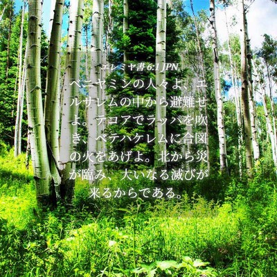 Picture 04 - エレミヤ書 6:1 JPN - ベニヤミンの人々よ、エルサレムの - Bible Verse Picture