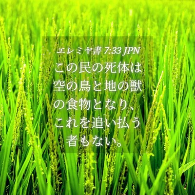 Picture 04 - エレミヤ書 7:33 JPN - この民の死体は空の鳥と地の獣の食 - Bible Verse Picture
