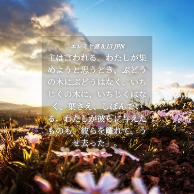 Picture 04 - エレミヤ書 8:13 JPN - 主は言われる、わたしが集めようと - Bible Verse Picture