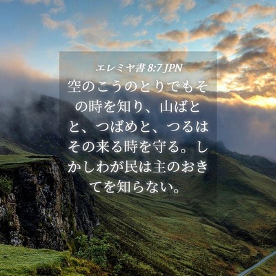 Picture 04 - エレミヤ書 8:7 JPN - 空のこうのとりでもその時を知り、 - Bible Verse Picture