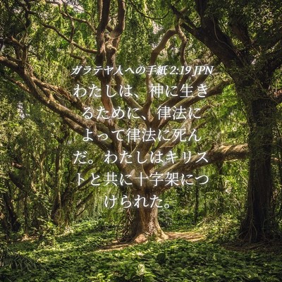 Picture 04 - ガラテヤ人への手紙 2:19 JPN - わたしは、神に生きるために、律法 - Bible Verse Picture