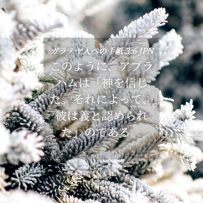 Picture 04 - ガラテヤ人への手紙 3:6 JPN - このように、アブラハムは「神を信 - Bible Verse Picture