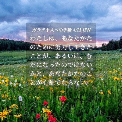 Picture 04 - ガラテヤ人への手紙 4:11 JPN - わたしは、あなたがたのために努力 - Bible Verse Picture