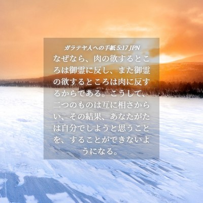 Picture 04 - ガラテヤ人への手紙 5:17 JPN - なぜなら、肉の欲するところは御霊 - Bible Verse Picture