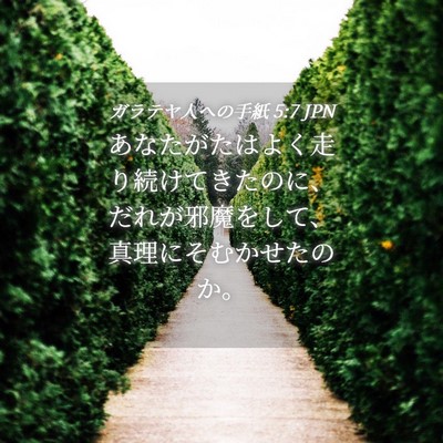 Picture 04 - ガラテヤ人への手紙 5:7 JPN - あなたがたはよく走り続けてきたの - Bible Verse Picture