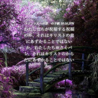 Picture 04 - コリント人への第一の手紙 10:16 JPN - わたしたちが祝福する祝福の杯、そ - Bible Verse Picture