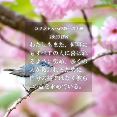 Picture 04 - コリント人への第一の手紙 10:33 JPN - わたしもまた、何事にもすべての人 - Bible Verse Picture