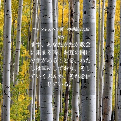 Picture 04 - コリント人への第一の手紙 11:18 JPN - まず、あなたがたが教会に集まる時 - Bible Verse Picture