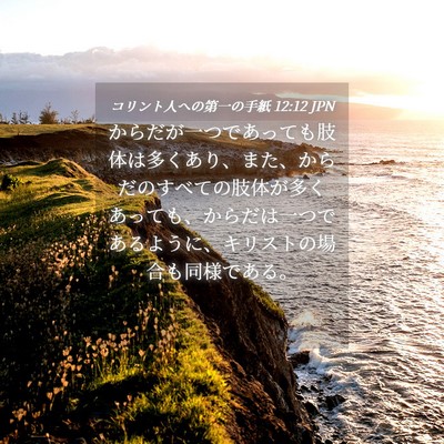 Picture 04 - コリント人への第一の手紙 12:12 JPN - からだが一つであっても肢体は多く - Bible Verse Picture