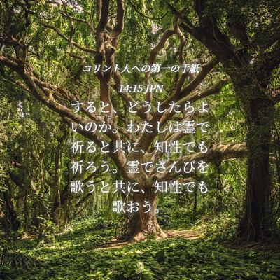 Picture 04 - コリント人への第一の手紙 14:15 JPN - すると、どうしたらよいのか。わた - Bible Verse Picture