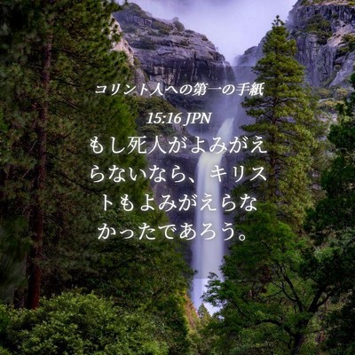 Picture 04 - コリント人への第一の手紙 15:16 JPN - もし死人がよみがえらないなら、キ - Bible Verse Picture