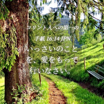 Picture 04 - コリント人への第一の手紙 16:14 JPN - いっさいのことを、愛をもって行い - Bible Verse Picture