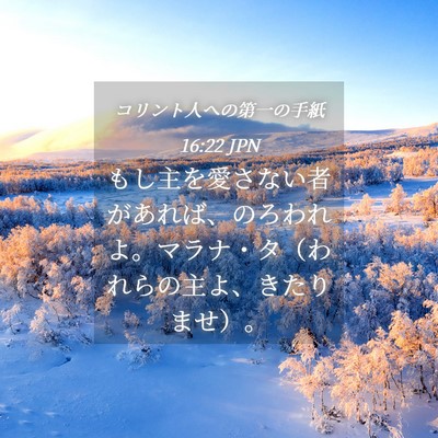 Picture 04 - コリント人への第一の手紙 16:22 JPN - もし主を愛さない者があれば、のろ - Bible Verse Picture