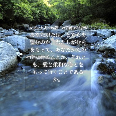 Picture 04 - コリント人への第一の手紙 4:21 JPN - あなたがたは、どちらを望むのか。 - Bible Verse Picture