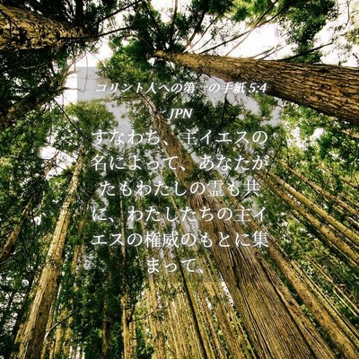 Picture 04 - コリント人への第一の手紙 5:4 JPN - すなわち、主イエスの名によって、 - Bible Verse Picture