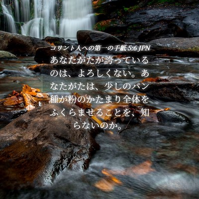 Picture 04 - コリント人への第一の手紙 5:6 JPN - あなたがたが誇っているのは、よろ - Bible Verse Picture