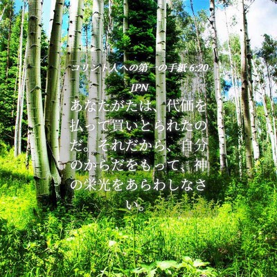 Picture 04 - コリント人への第一の手紙 6:20 JPN - あなたがたは、代価を払って買いと - Bible Verse Picture