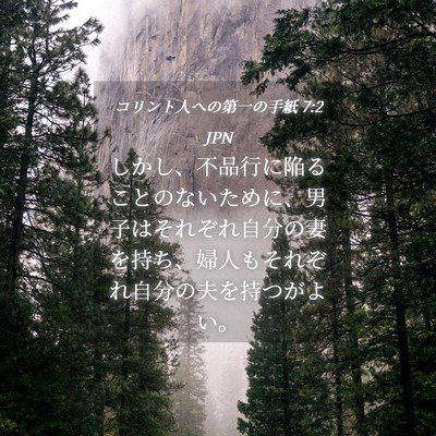 Picture 04 - コリント人への第一の手紙 7:2 JPN - しかし、不品行に陥ることのないた - Bible Verse Picture