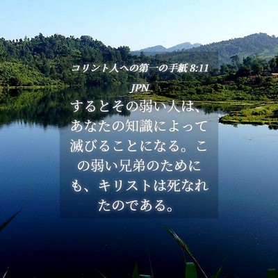 Picture 04 - コリント人への第一の手紙 8:11 JPN - するとその弱い人は、あなたの知識 - Bible Verse Picture