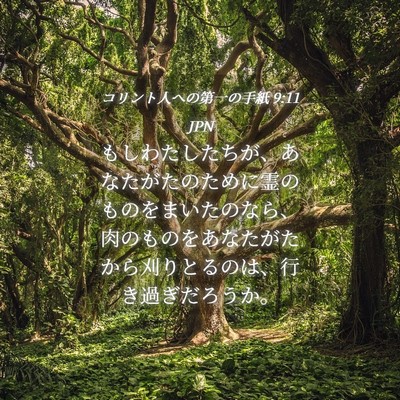 Picture 04 - コリント人への第一の手紙 9:11 JPN - もしわたしたちが、あなたがたのた - Bible Verse Picture