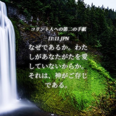 Picture 04 - コリント人への第二の手紙 11:11 JPN - なぜであるか。わたしがあなたがた - Bible Verse Picture