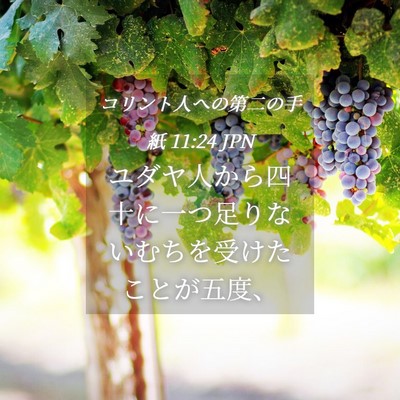 Picture 04 - コリント人への第二の手紙 11:24 JPN - ユダヤ人から四十に一つ足りないむ - Bible Verse Picture
