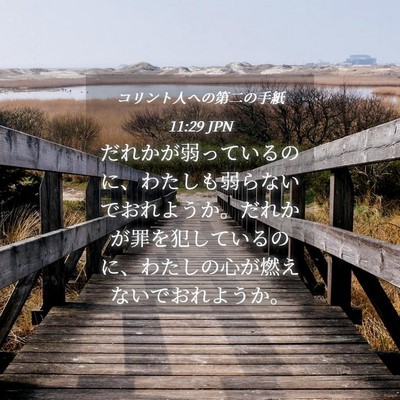 Picture 04 - コリント人への第二の手紙 11:29 JPN - だれかが弱っているのに、わたしも - Bible Verse Picture