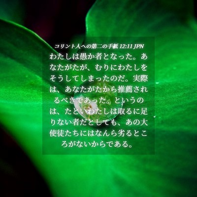 Picture 04 - コリント人への第二の手紙 12:11 JPN - わたしは愚か者となった。あなたが - Bible Verse Picture