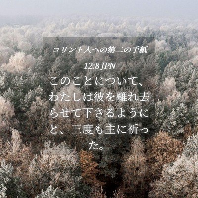 Picture 04 - コリント人への第二の手紙 12:8 JPN - このことについて、わたしは彼を離 - Bible Verse Picture