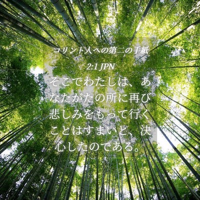 Picture 04 - コリント人への第二の手紙 2:1 JPN - そこでわたしは、あなたがたの所に - Bible Verse Picture