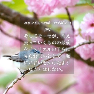 Picture 04 - コリント人への第二の手紙 3:13 JPN - そしてモーセが、消え去っていくも - Bible Verse Picture