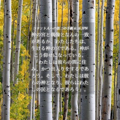 Picture 04 - コリント人への第二の手紙 6:16 JPN - 神の宮と偶像となんの一致があるか - Bible Verse Picture