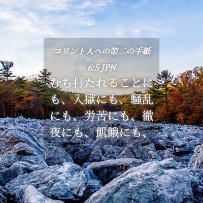 Picture 04 - コリント人への第二の手紙 6:5 JPN - むち打たれることにも、入獄にも、 - Bible Verse Picture