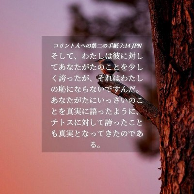 Picture 04 - コリント人への第二の手紙 7:14 JPN - そして、わたしは彼に対してあなた - Bible Verse Picture