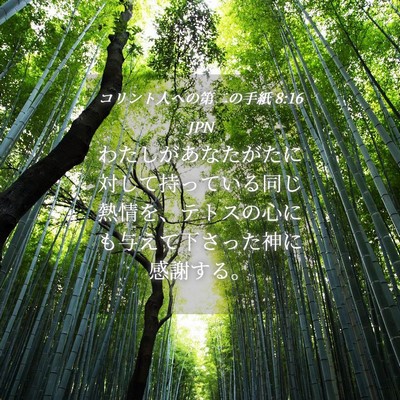 Picture 04 - コリント人への第二の手紙 8:16 JPN - わたしがあなたがたに対して持って - Bible Verse Picture