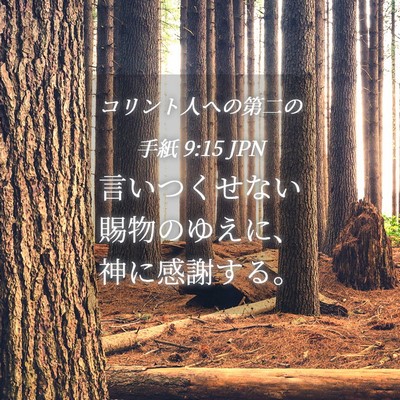 Picture 04 - コリント人への第二の手紙 9:15 JPN - 言いつくせない賜物のゆえに、神に - Bible Verse Picture