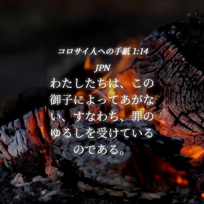 Picture 04 - コロサイ人への手紙 1:14 JPN - わたしたちは、この御子によってあ - Bible Verse Picture