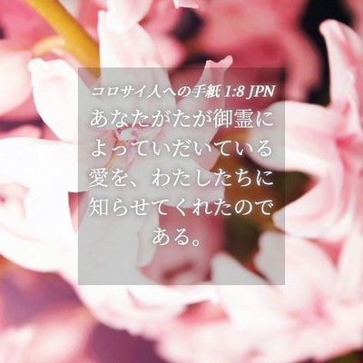 Picture 04 - コロサイ人への手紙 1:8 JPN - あなたがたが御霊によっていだいて - Bible Verse Picture