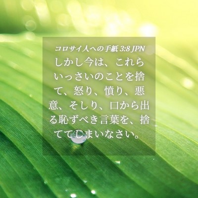 Picture 04 - コロサイ人への手紙 3:8 JPN - しかし今は、これらいっさいのこと - Bible Verse Picture